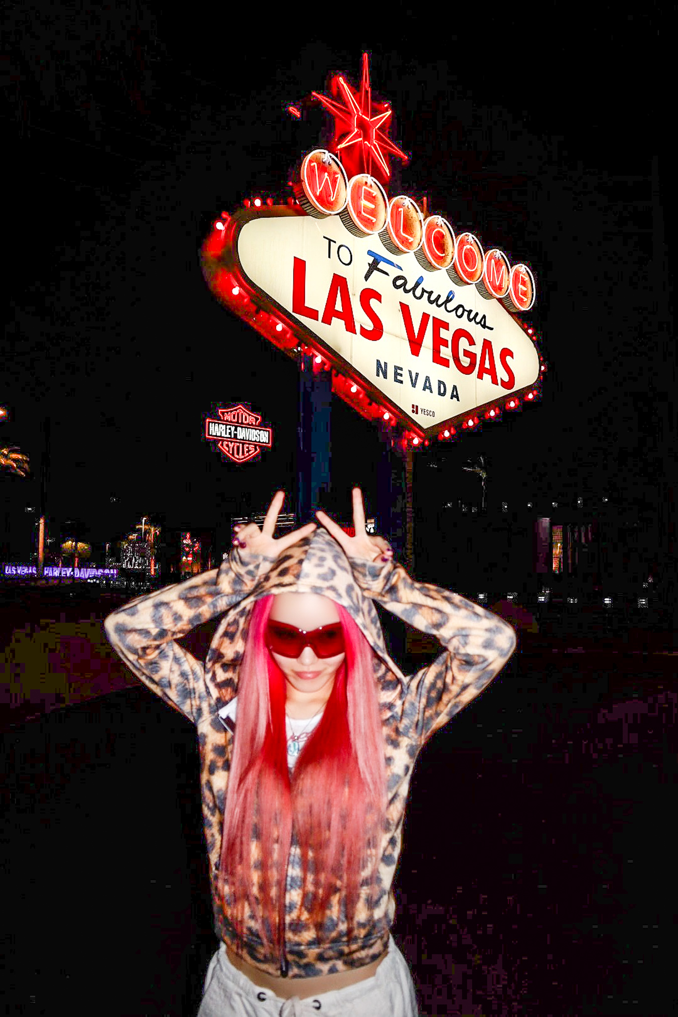 Welcome to Las Vegas, Chisa